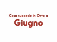 Cosa succede in Orto a Giugno?