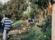 Cosa succede in Orto ad Ottobre?