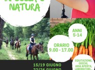 SETTIMANE IN SELLA E NATURA