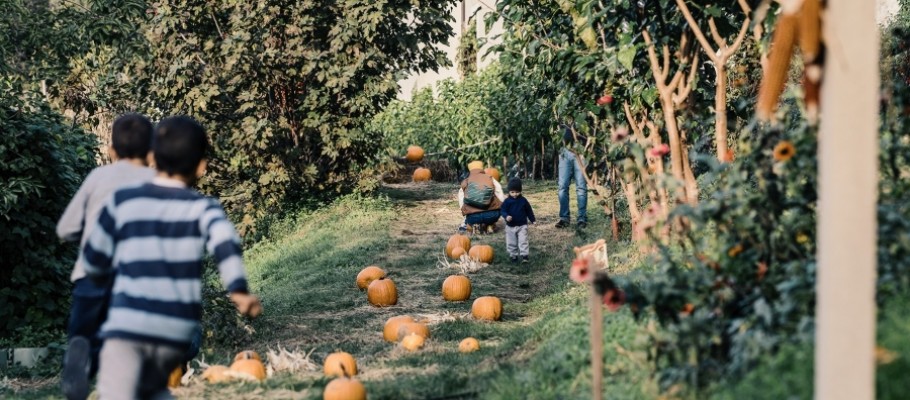 Cosa succede in Orto ad Ottobre?